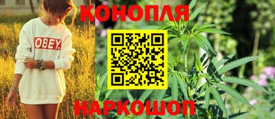 эйфоретик Аргун