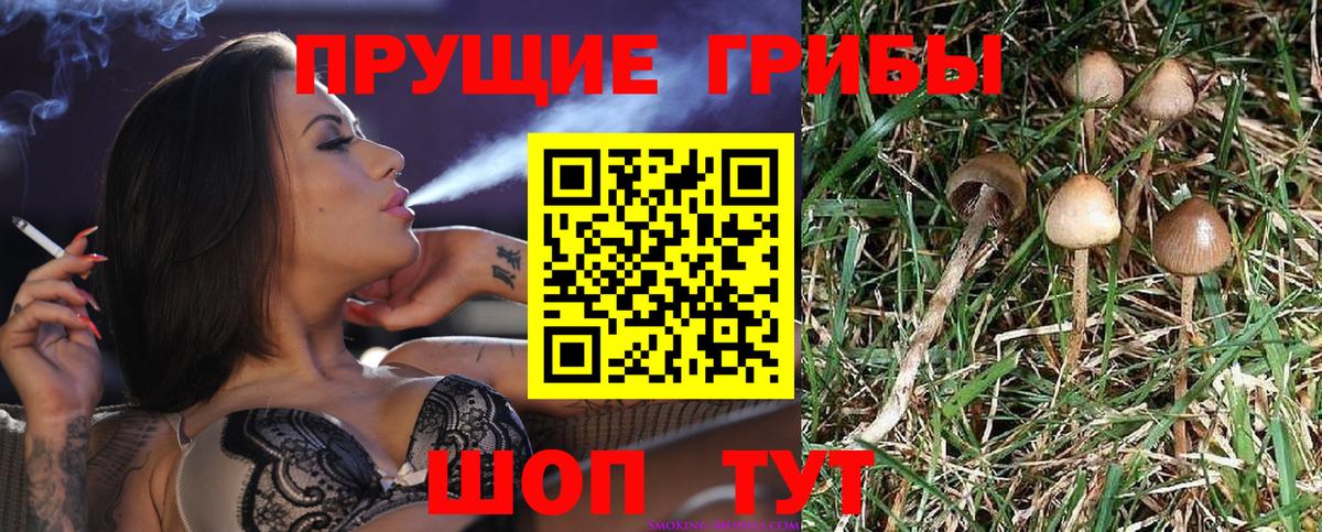 Галлюциногенные грибы Magic Shrooms Алексеевка